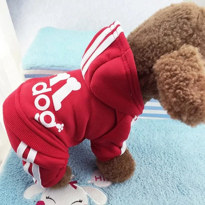 Dog Tracksuit Outfit