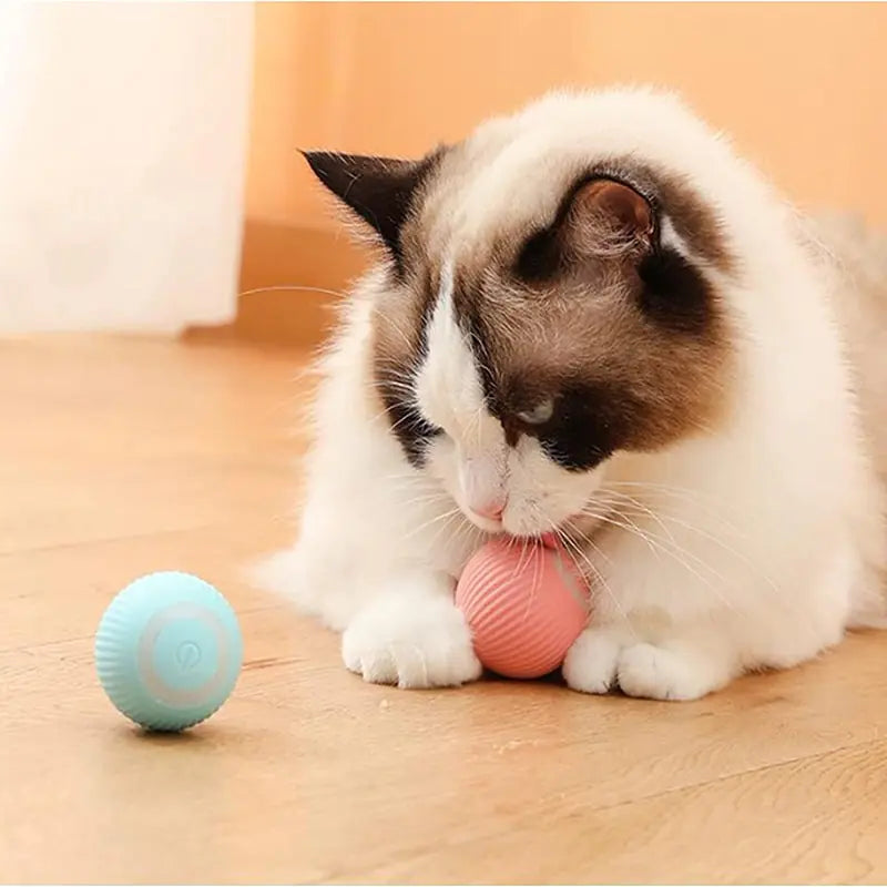 Electric Smart Ball Toys for Dogs and Cats