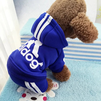 Dog Tracksuit Outfit