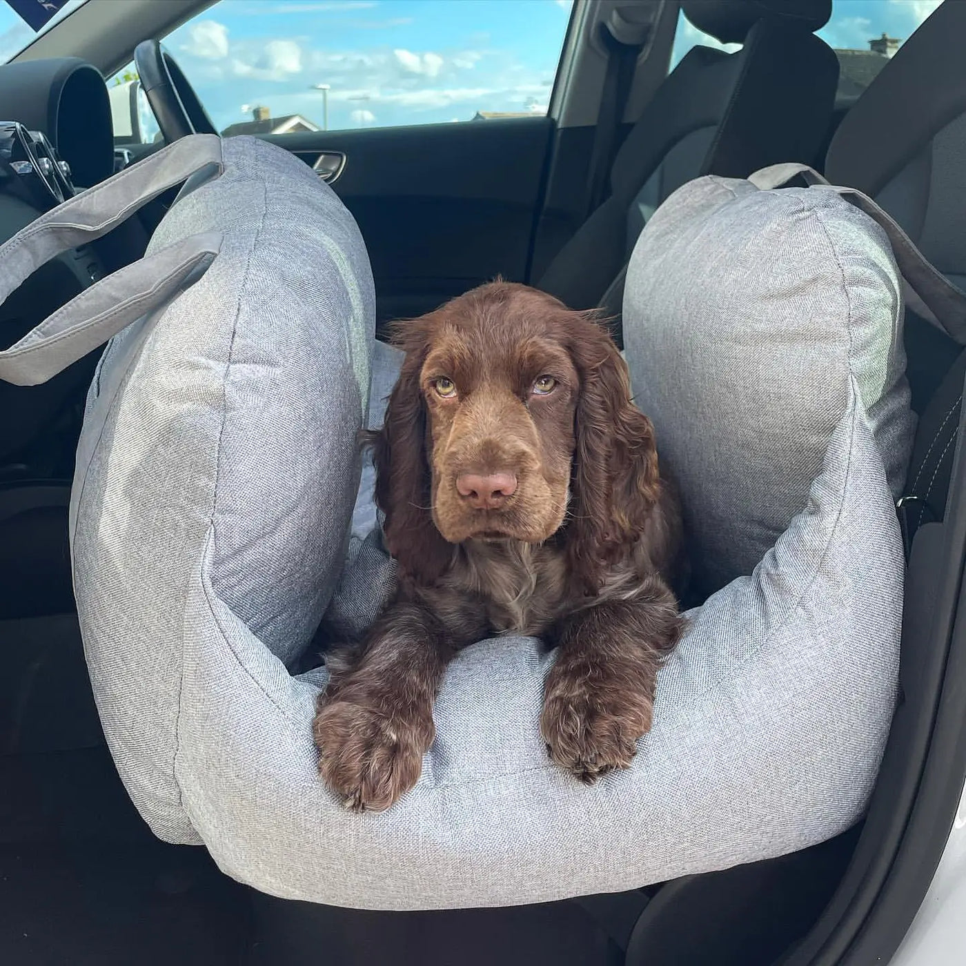 Pet Travel Bed