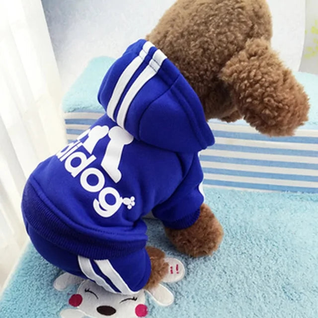 Dog Tracksuit Outfit