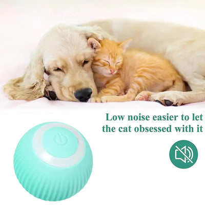 Electric Smart Ball Toys for Dogs and Cats