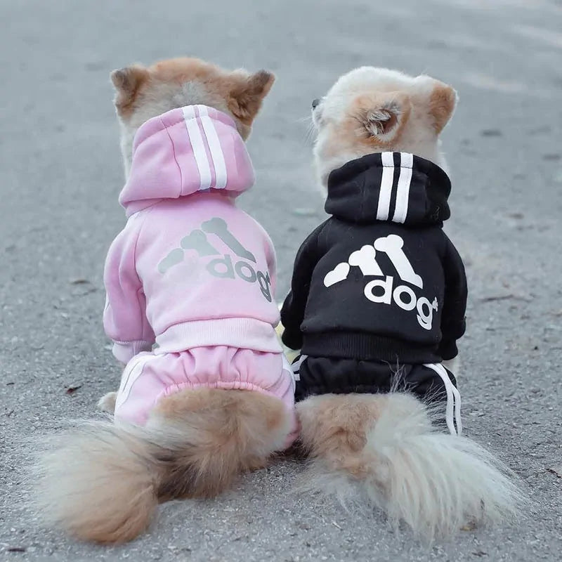 Dog Tracksuit Outfit