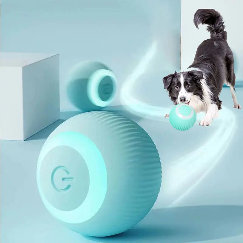 Electric Smart Ball Toys for Dogs and Cats