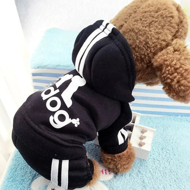 Dog Tracksuit Outfit