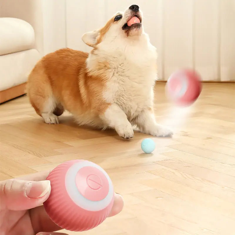 Electric Smart Ball Toys for Dogs and Cats